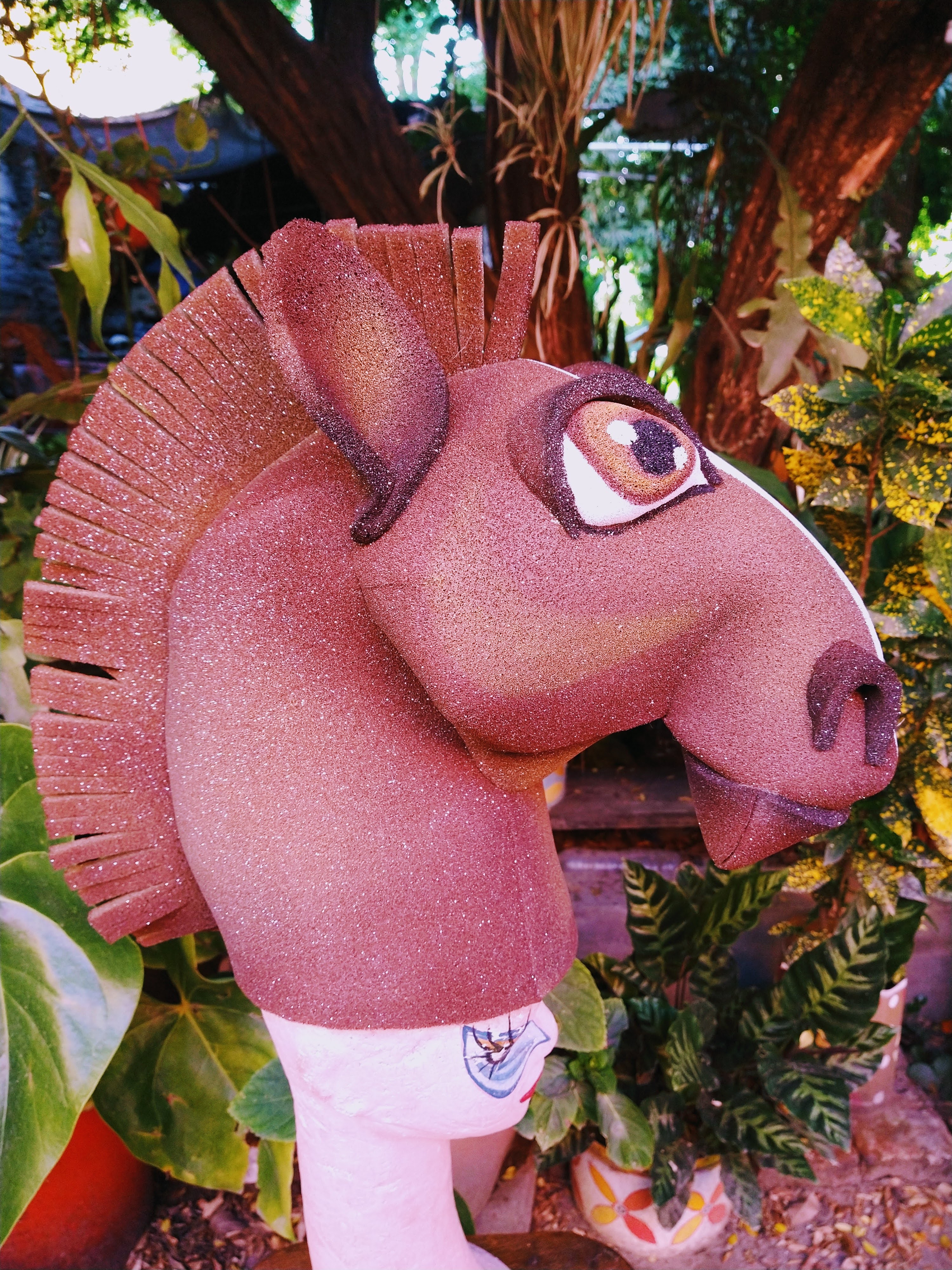 Animales de Granja 6